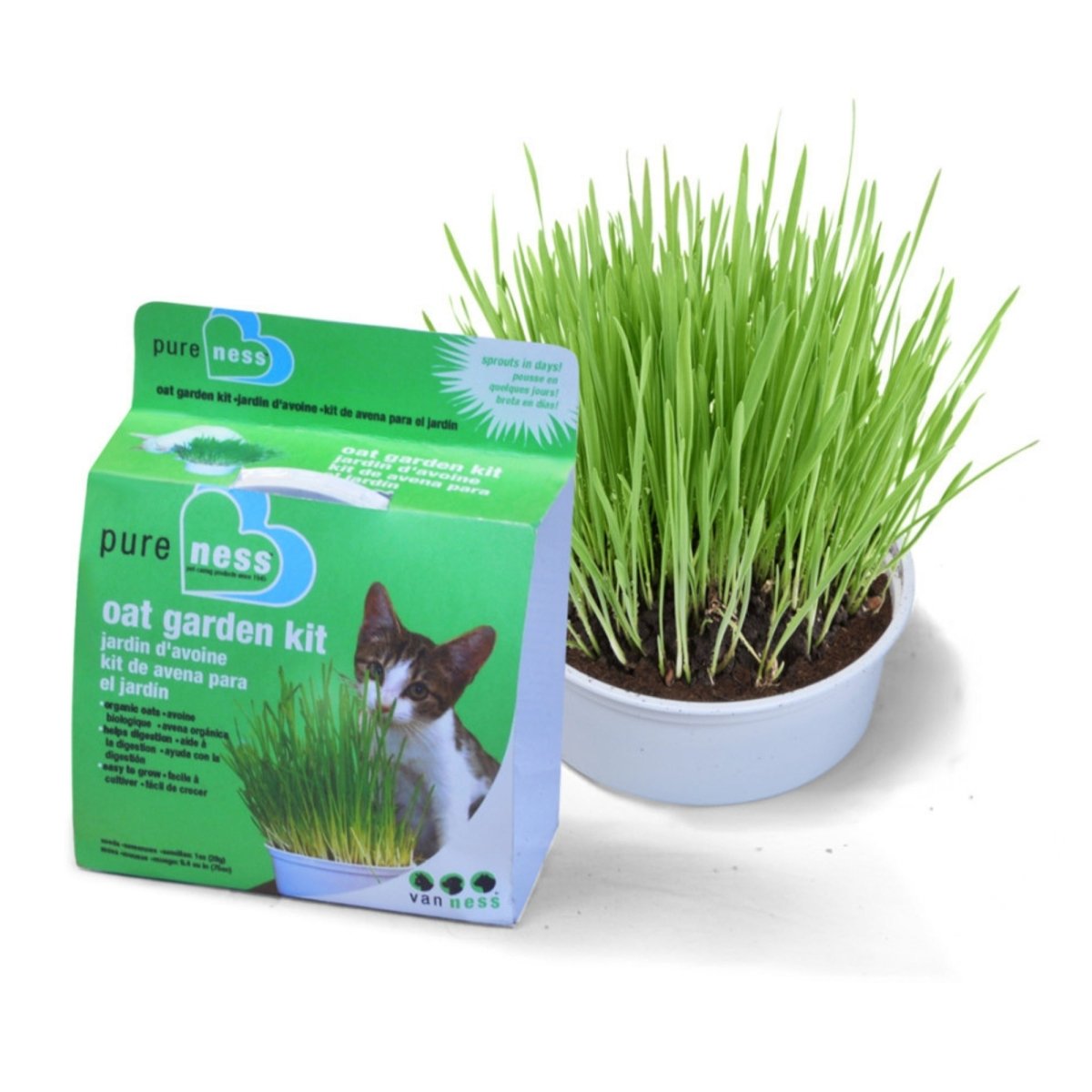 Van Ness Plastics Pureness Oat Garden Kit 1ea/4 oz - Pets Perfect