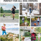 Ultimate Hands - Free Dog Leash Belt With Bungee Leash, Phone Pocket, And Water Bottle Holder - Pets Perfect