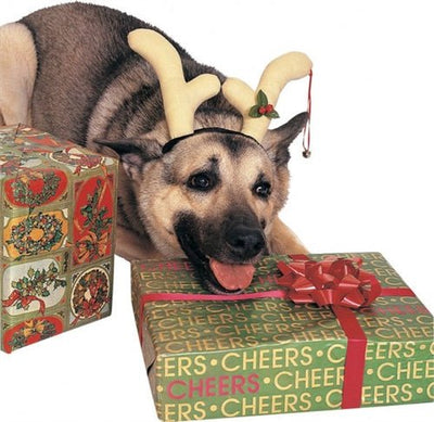 Rubies-Dog Reindeer Antlers - Pets Perfect