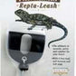 Fluker's Repta-Leash Lizard Leash - Extra Small, Black