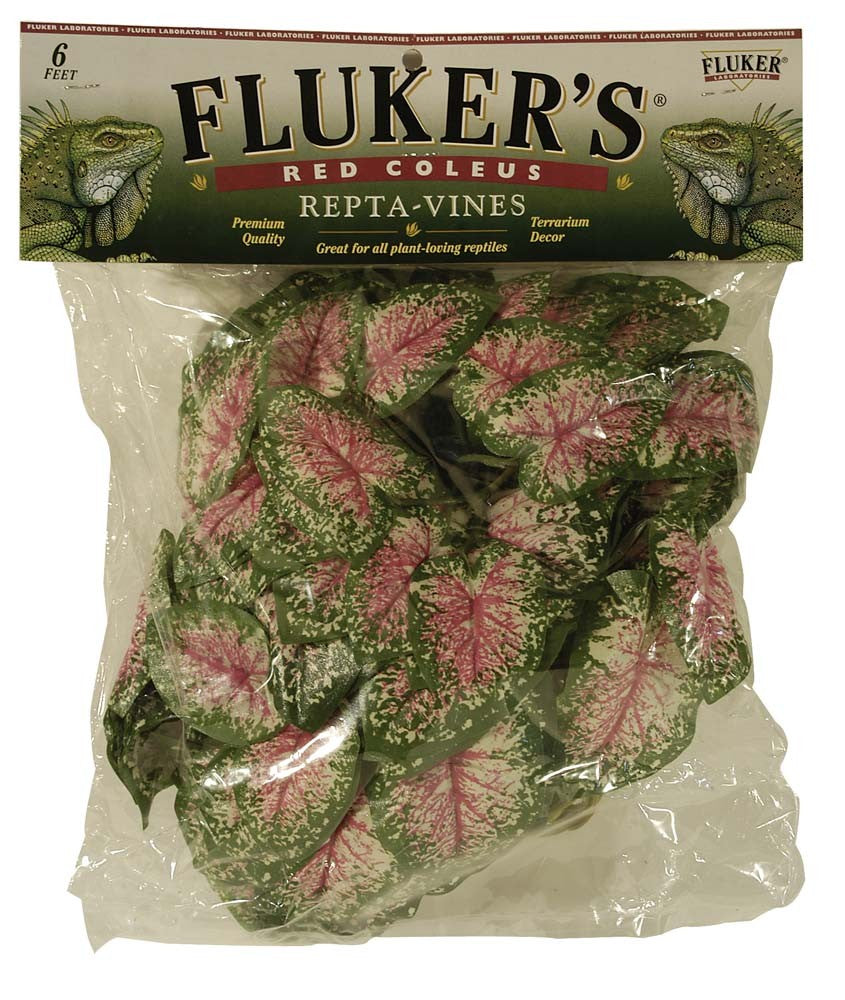 Fluker's Red Coleus Repta-Vines, Green and Red, 6 ft