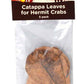 Fluker's Hermit Crab Catappa Leaves, Brown, 5-Pack