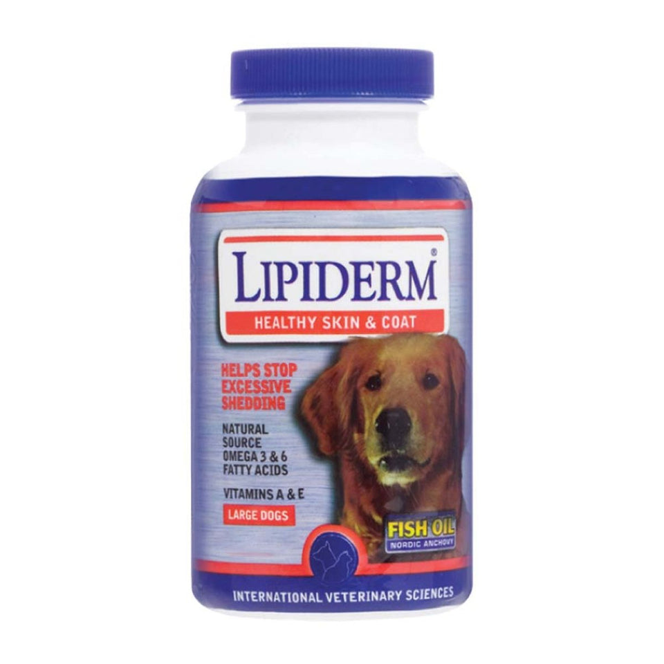 LIPIDERM Gel Caps Skin & Coat Supplement for Large Dogs 60 Soft Gels