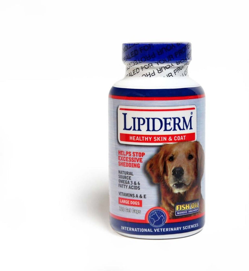 LIPIDERM Gel Caps Skin & Coat Supplement for Large Dogs 120 Soft Gels
