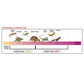 Zilla Rapid Sense UV Detecting Decor - Medium Poplar Log