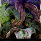 Zilla Rapid Sense UV Detecting Decor - Medium Poplar Log