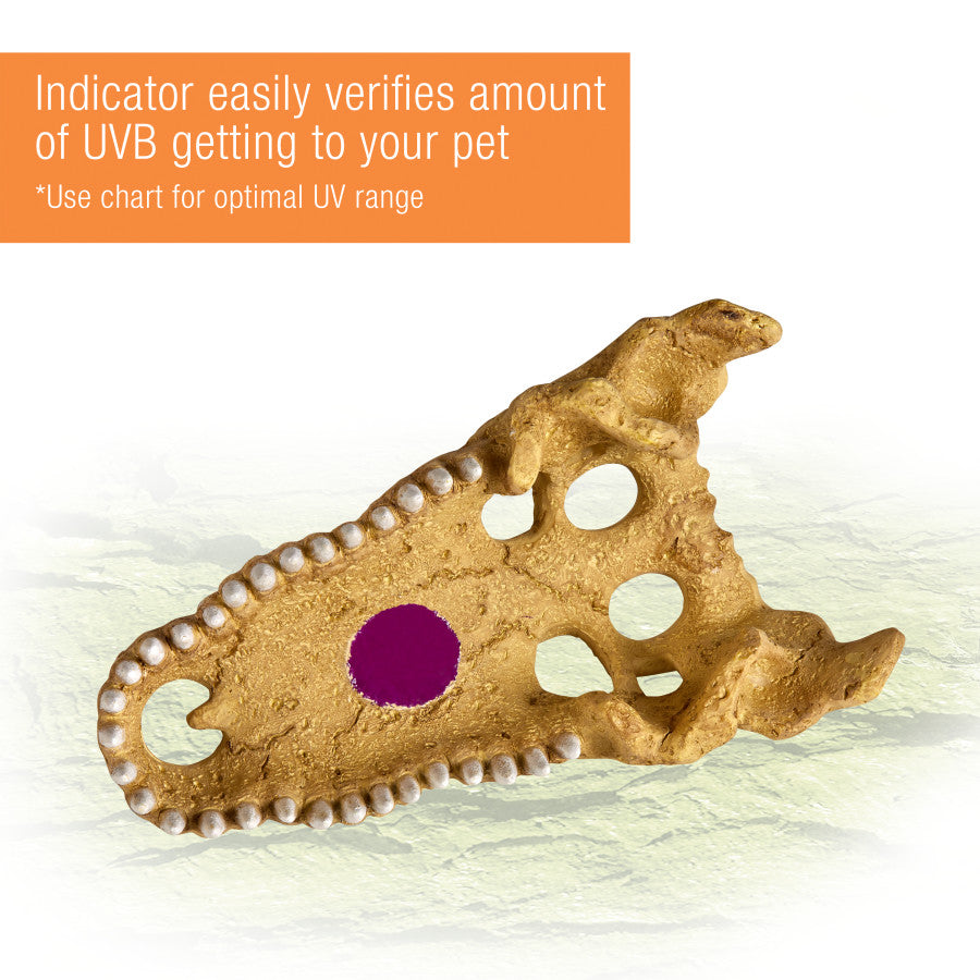Zilla Rapid Sense UV-Detecting Decor - Medium Crocodile Skull