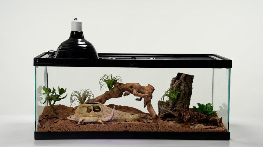 Zilla Rapid Sense UV-Detecting Decor - Large Crocodile Skull