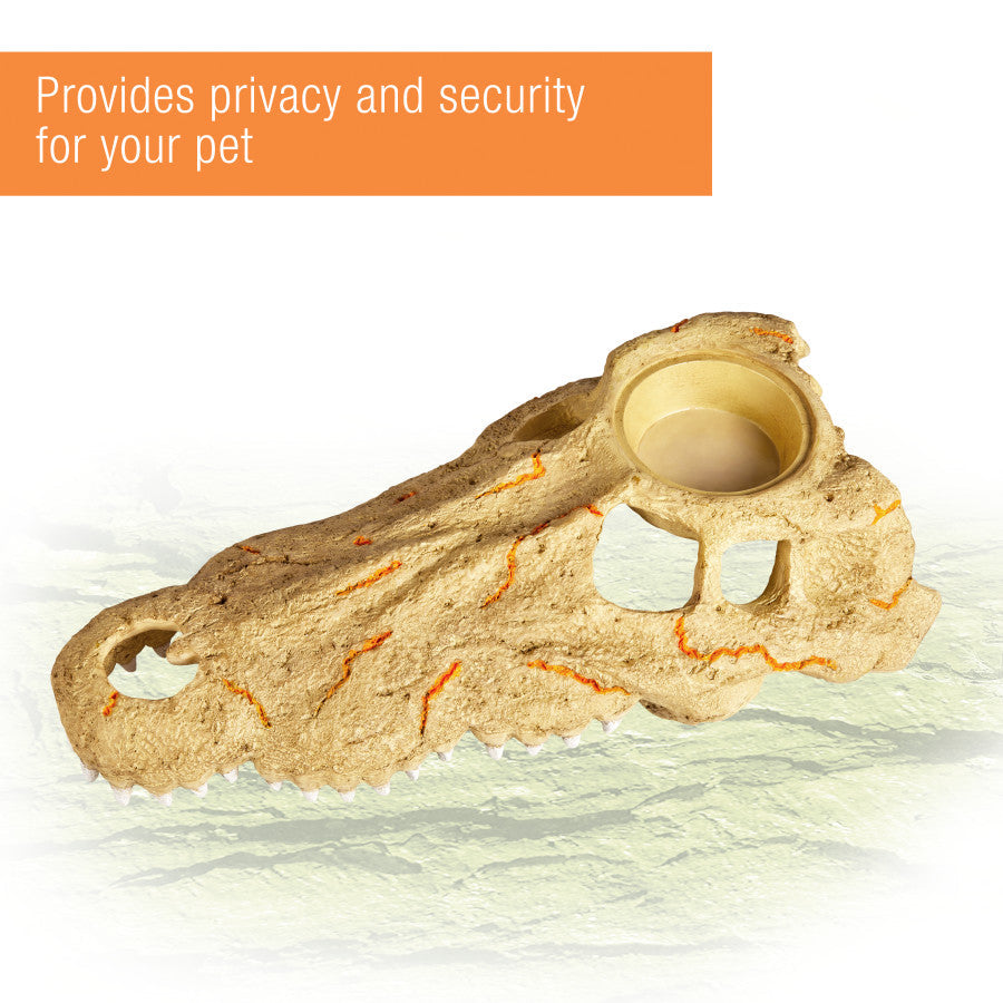 Large crocodile skull decor with a feeding dish and orange accents, providing privacy and security for pets.
