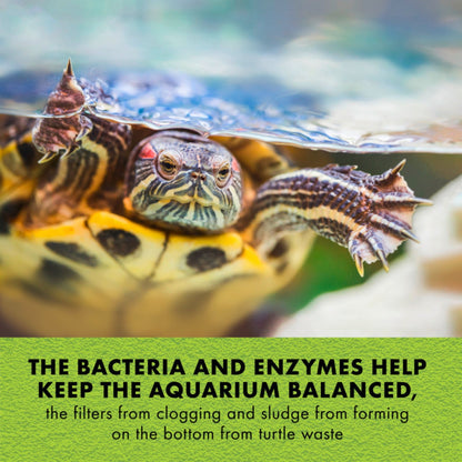 Zilla Turtle PURE Beneficial Bacteria Water Care for Aquatic Turtles 4pk