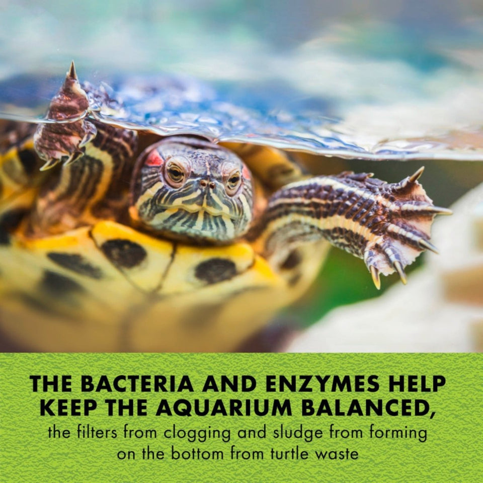 Zilla Turtle PURE Beneficial Bacteria Water Care for Aquatic Turtles 4, view 3