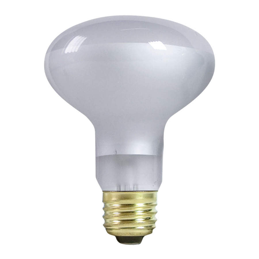Zilla Incandescent Spot Bulb Day, White, 100W