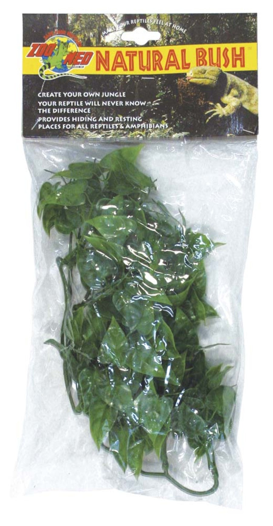 Packaged green artificial Mexican Phyllo plants with a lizard on the label.