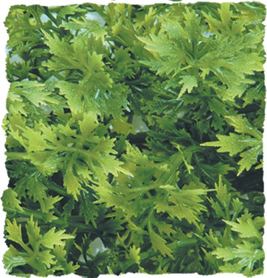 Zoo Med Natural Bush Australian Maple Plants, Green, 14 in, Small