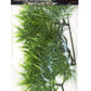 Zoo Med Natural Bush Madagascar Bamboo Plant - Small (14 in)