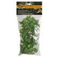 Zoo Med Natural Bush Amazonian Phyllo Plant 18 in Medium