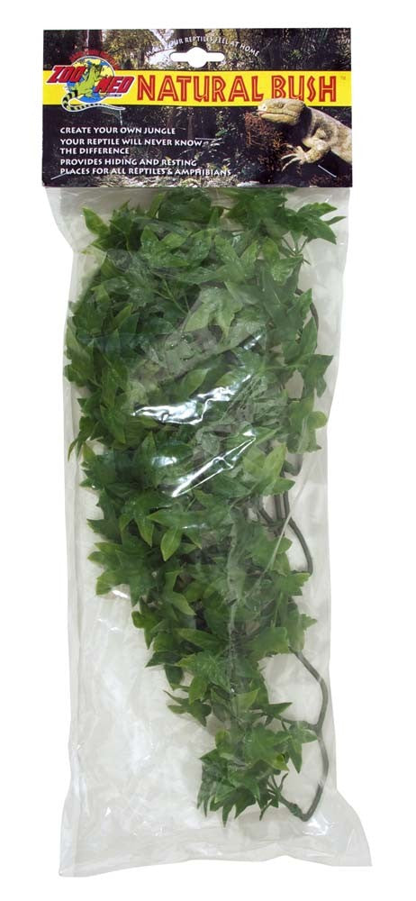 Zoo Med Natural Bush Congo Ivy Plant - Medium (18 in)