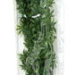 Zoo Med Natural Bush Cannabis Plant - Large (22 in)