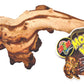 Zoo Med Aquarium Mopani Wood Brown 1ea/6-8 in, SM