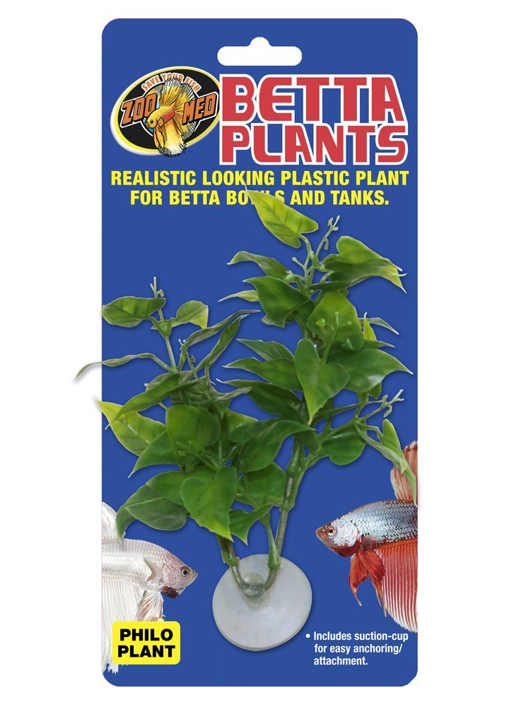 Zoo Med Betta Plant Philo Green 1ea - Pets Perfect
