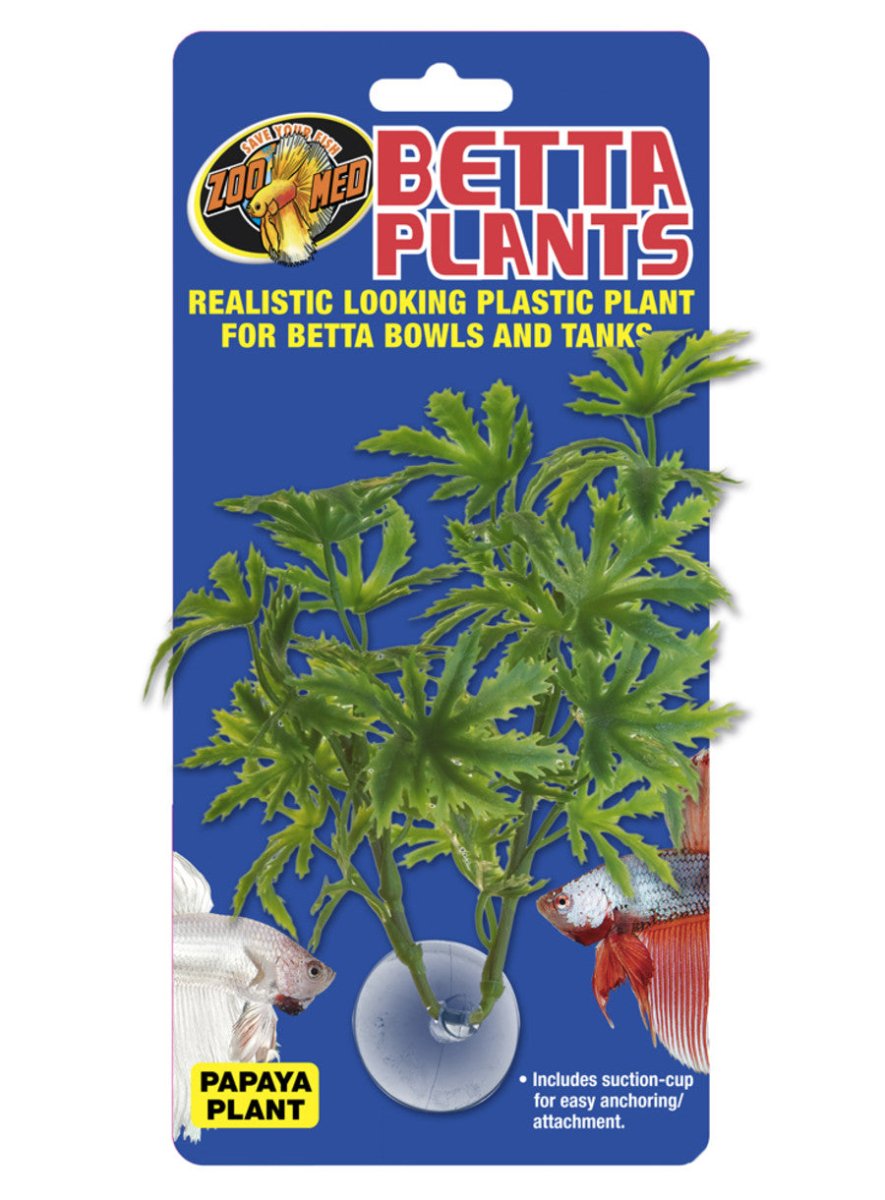 Zoo Med Betta Plant Papaya Green 1ea - Pets Perfect