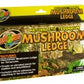 Zoo Med Mushroom Ledge Elevated Perch Brown Large
