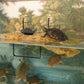 Zoo Med Turtle Dock - Medium Floating Basking Platform for Aquatic Turtles