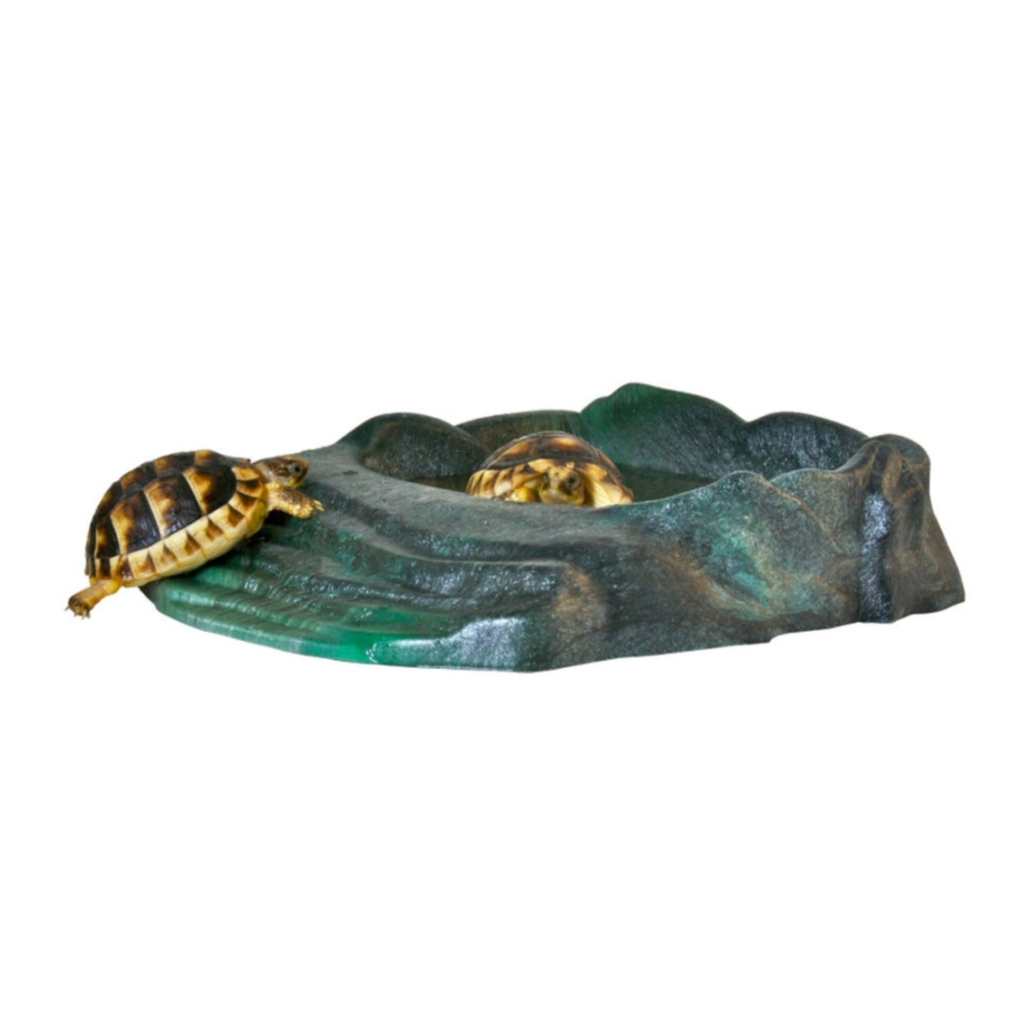Zoo Med Repti Ramp Bowl - Black, Large