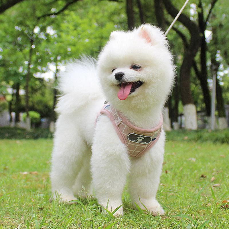 Reflective Nighttime Dog Leash With Stylish Design - Pets Perfect