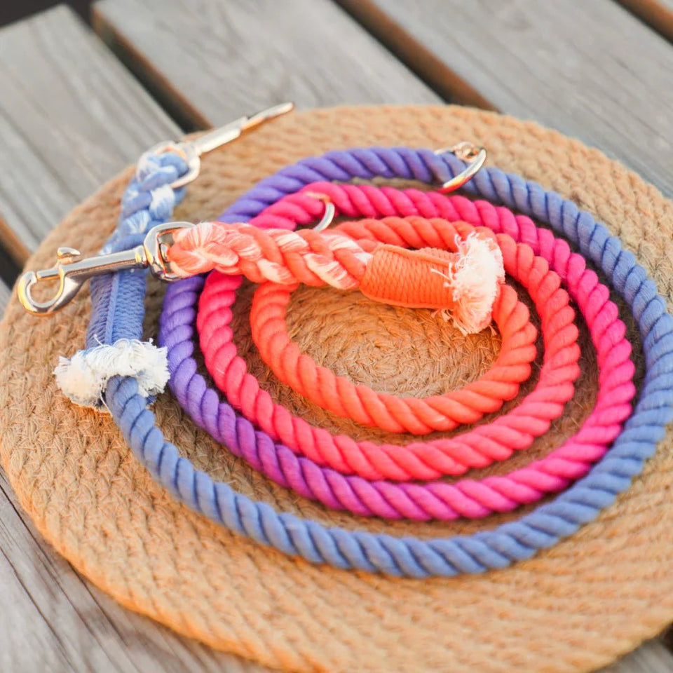Hands-Free Dog Rope Dog Leash - Palette
