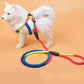 Vibrant Nylon Round Handheld Dog Rope - Stylish Pet Leash - Pets Perfect