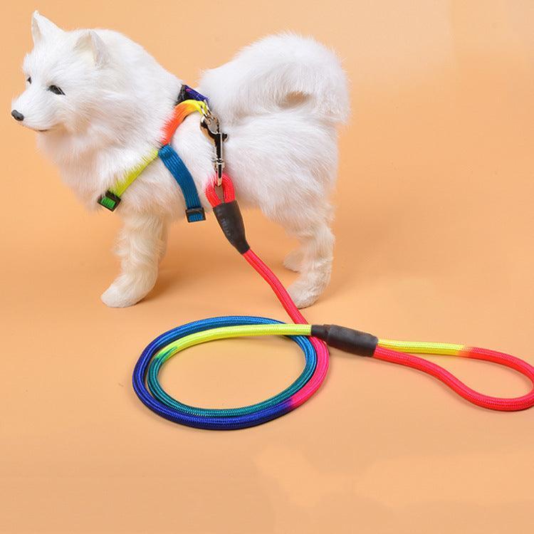 Vibrant Nylon Round Handheld Dog Rope - Stylish Pet Leash - Pets Perfect