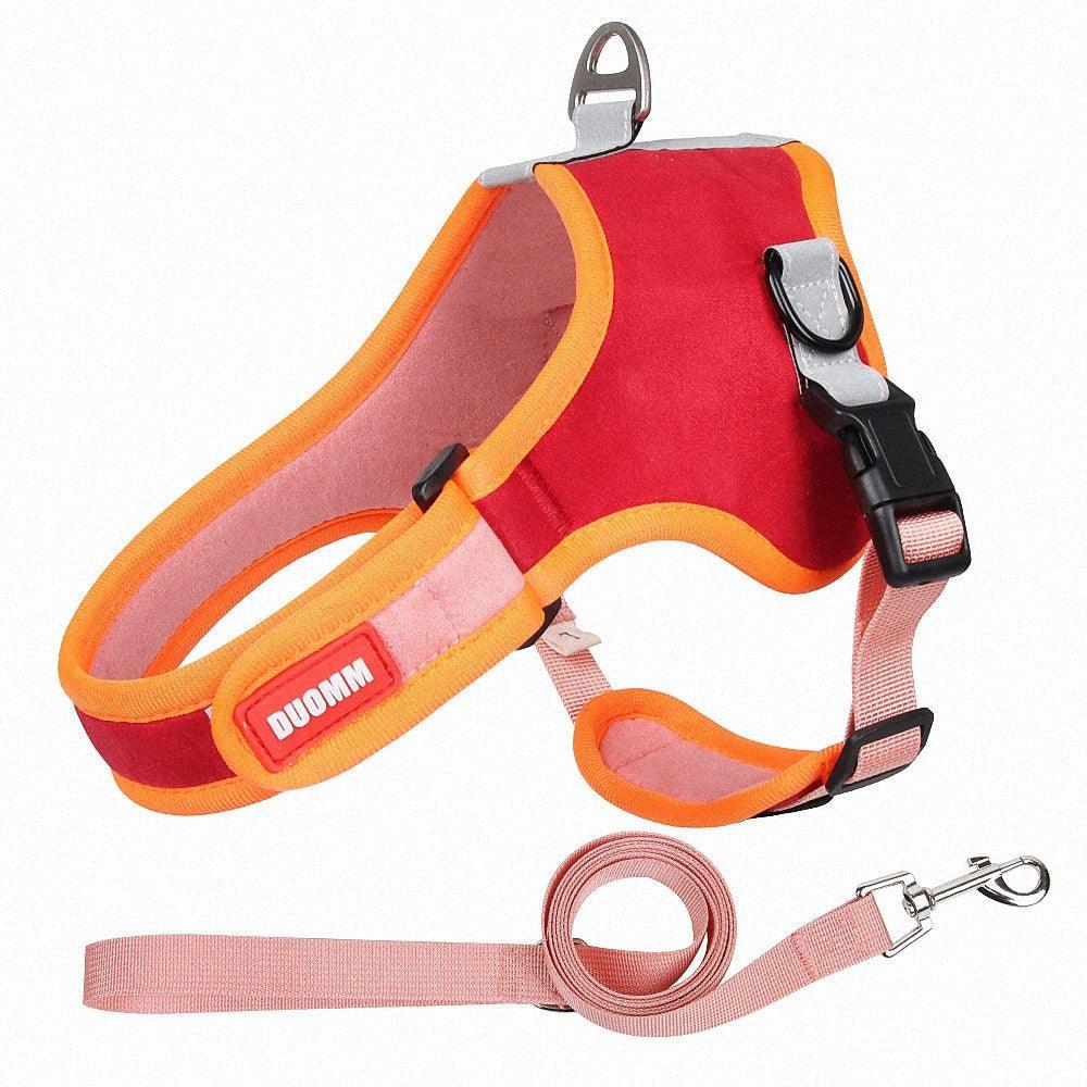 Luxury Suede Dog Harness Set: Stylish Leash And Adjustable Chest Strap For Pet Comfort - Pets Perfect