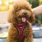 Reflective Stroke Prevention Pet Harness With Leash - Pets Perfect