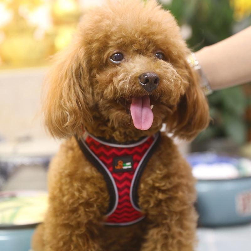 Reflective Stroke Prevention Pet Harness With Leash - Pets Perfect