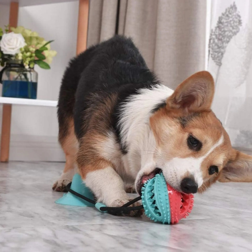 Treat Dispensing Dog Pull Dog Toy, view 4