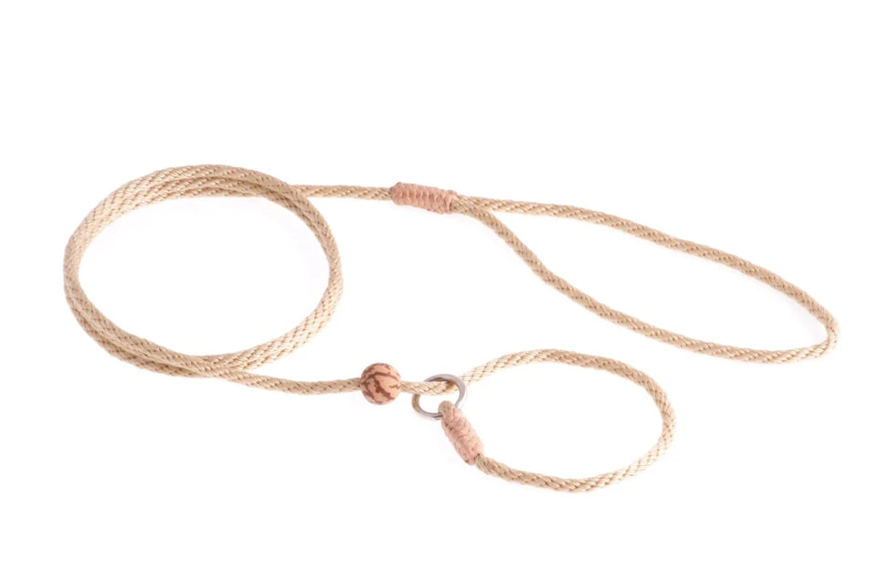 Nylon Slip Lead With Stopper (4 ft x 1/8 in or 4 mm) - Pets Perfect