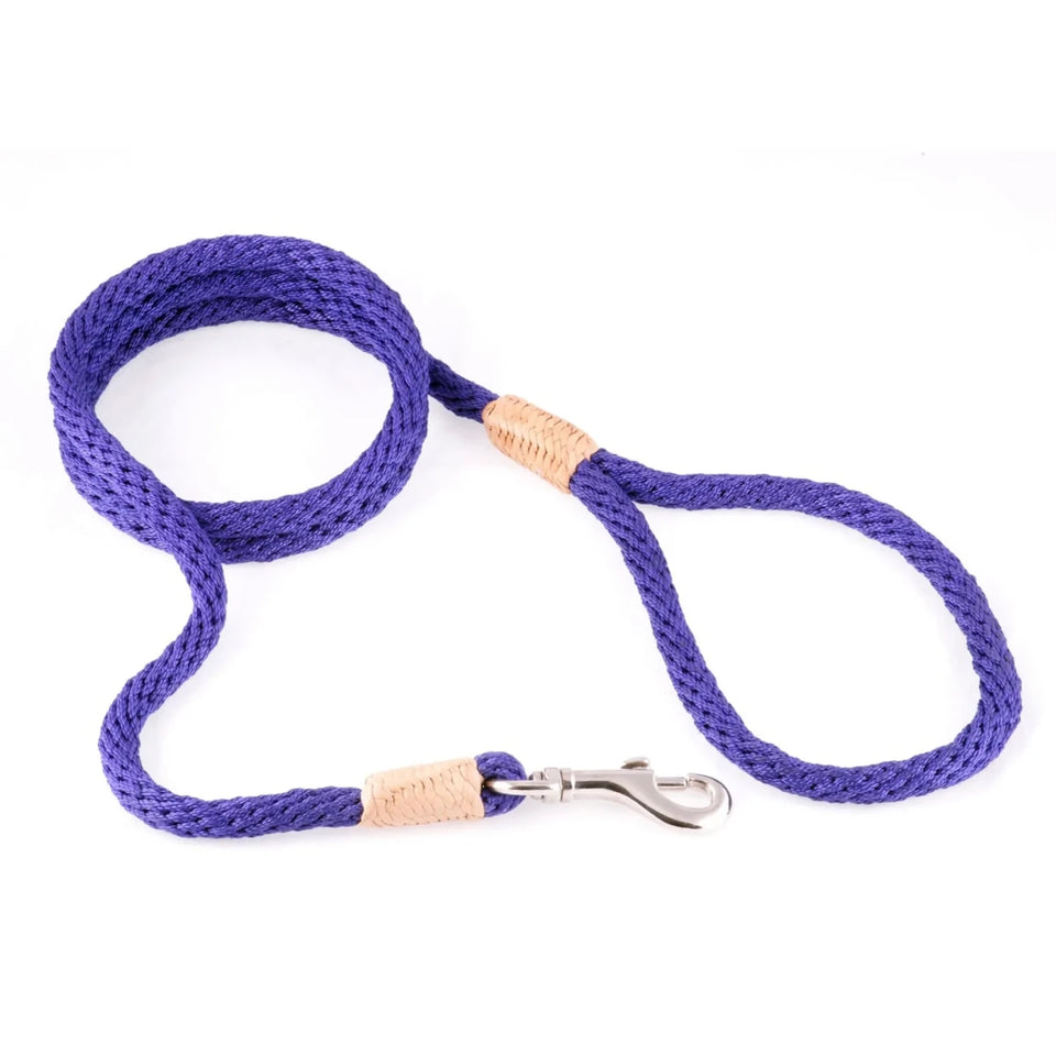 Nylon Snap Leads (4 ft x 1/8 in or 4 mm) - Pets Perfect
