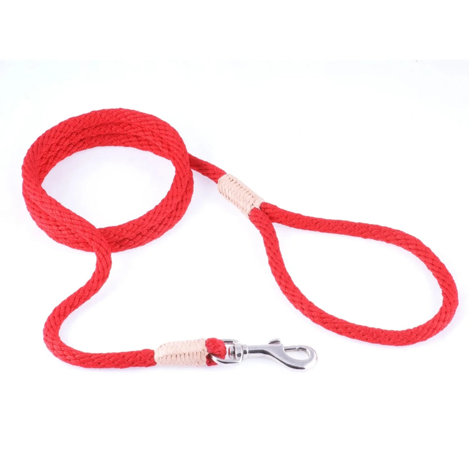 Nylon Snap Leads (4 ft x 1/8 in or 4 mm) - Pets Perfect