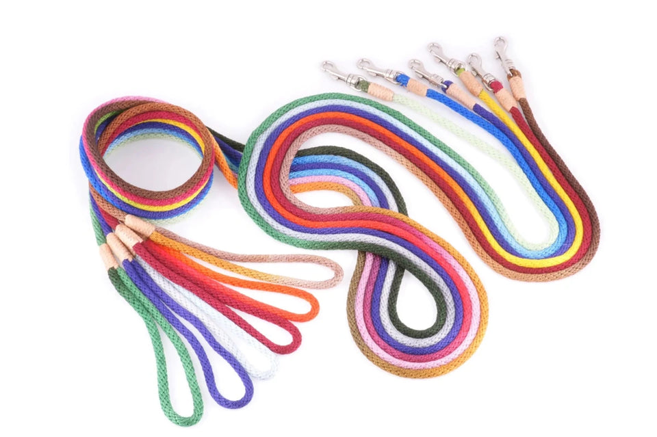 Nylon Snap Leads (4 ft x 1/4 in or 6 mm) - Pets Perfect