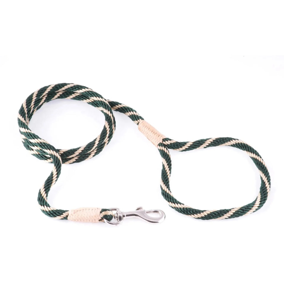 Nylon Snap Leads (4 ft x 1/8 in or 4 mm) - Pets Perfect