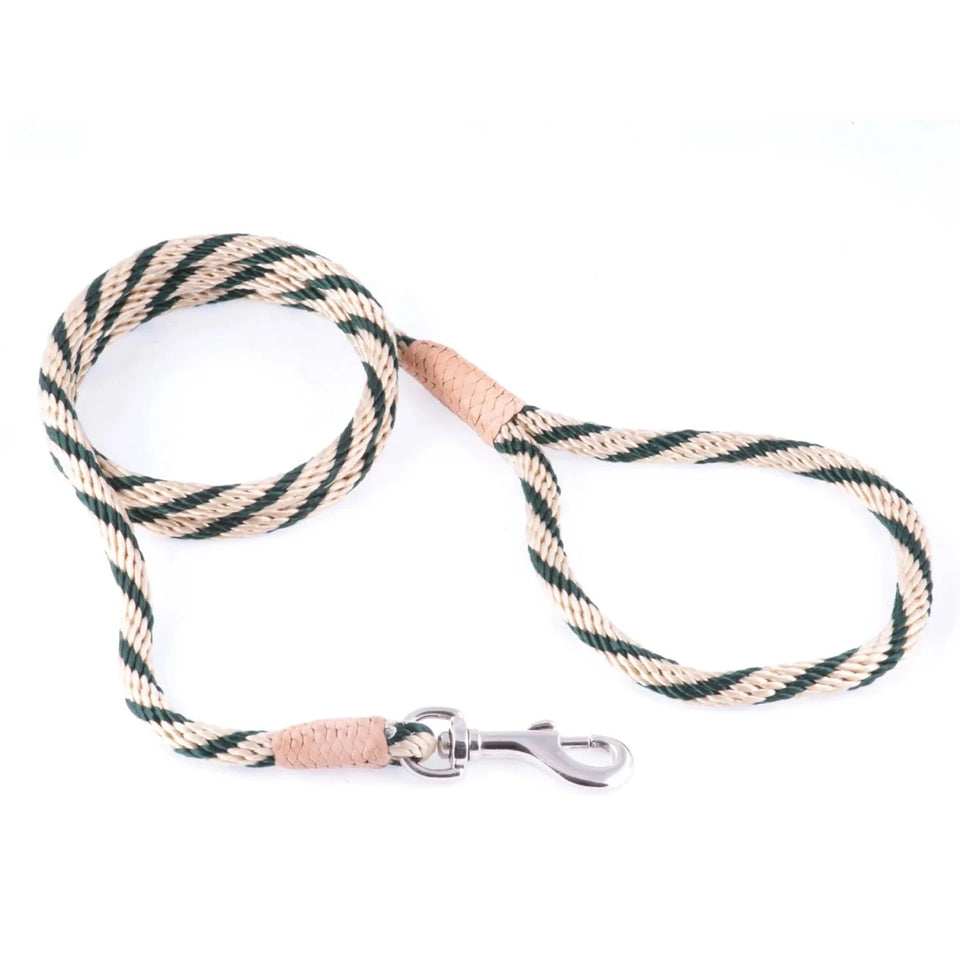 Nylon Snap Leads (4 ft x 1/8 in or 4 mm) - Pets Perfect