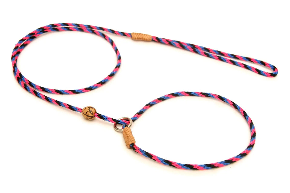 Nylon Slip Lead With Stopper (4 ft x 1/8 in or 4 mm) - Pets Perfect