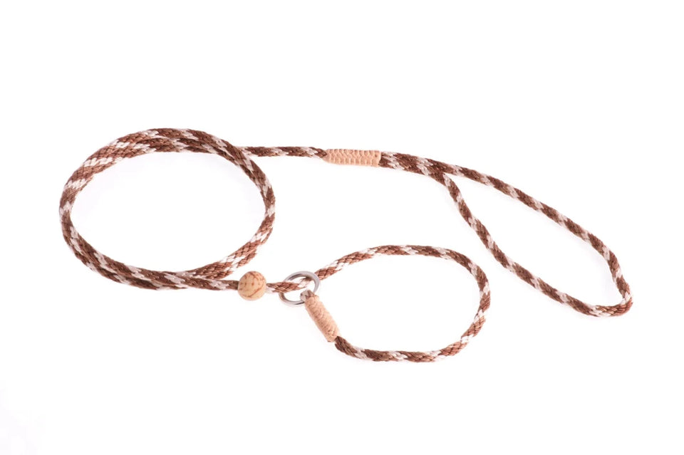 Nylon Slip Lead With Stopper (4 ft x 1/8 in or 4 mm) - Pets Perfect