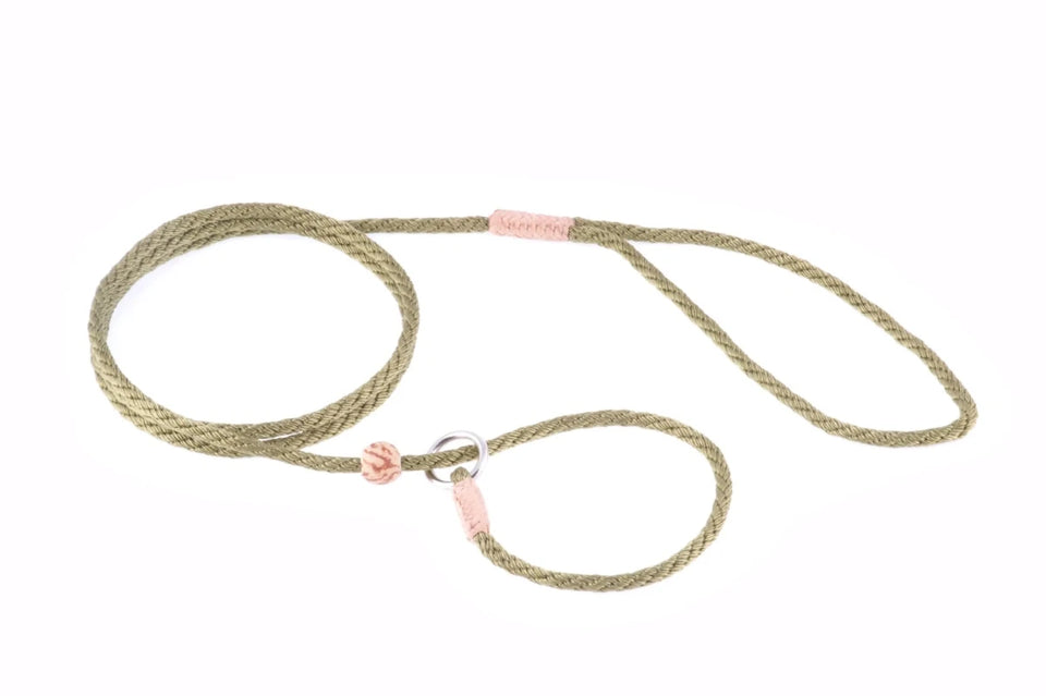 Nylon Slip Lead With Stopper (4 ft x 1/8 in or 4 mm) - Pets Perfect