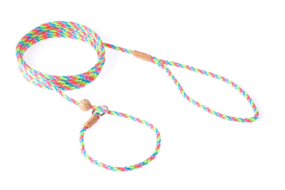 Nylon Slip Lead With Stopper (6 ft x 1/8 in or 4 mm) - Pets Perfect