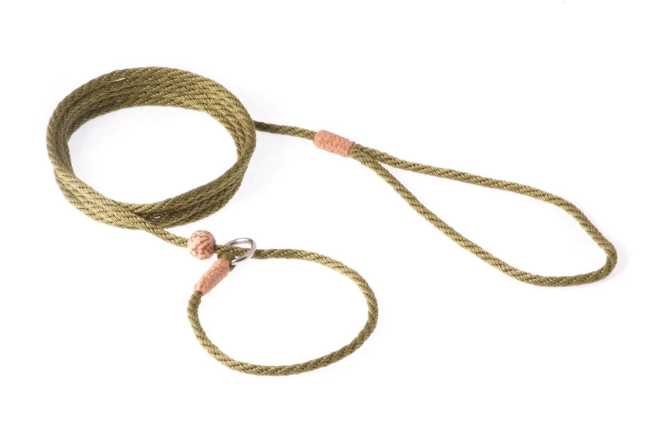 Nylon Slip Lead With Stopper (6 ft x 1/8 in or 4 mm) - Pets Perfect