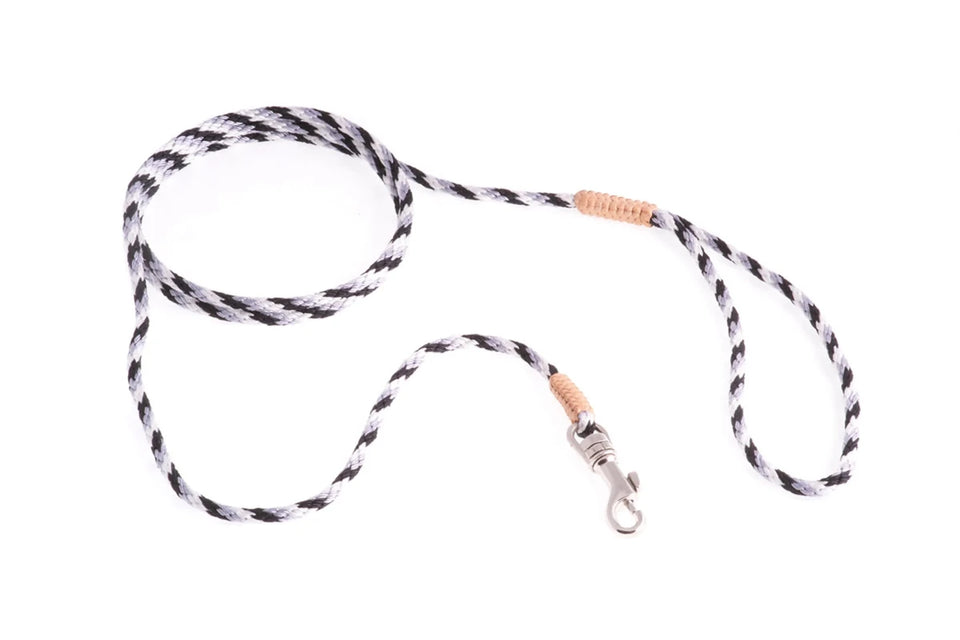 Nylon Snap Leads (4 ft x 1/8 in or 4 mm) - Pets Perfect