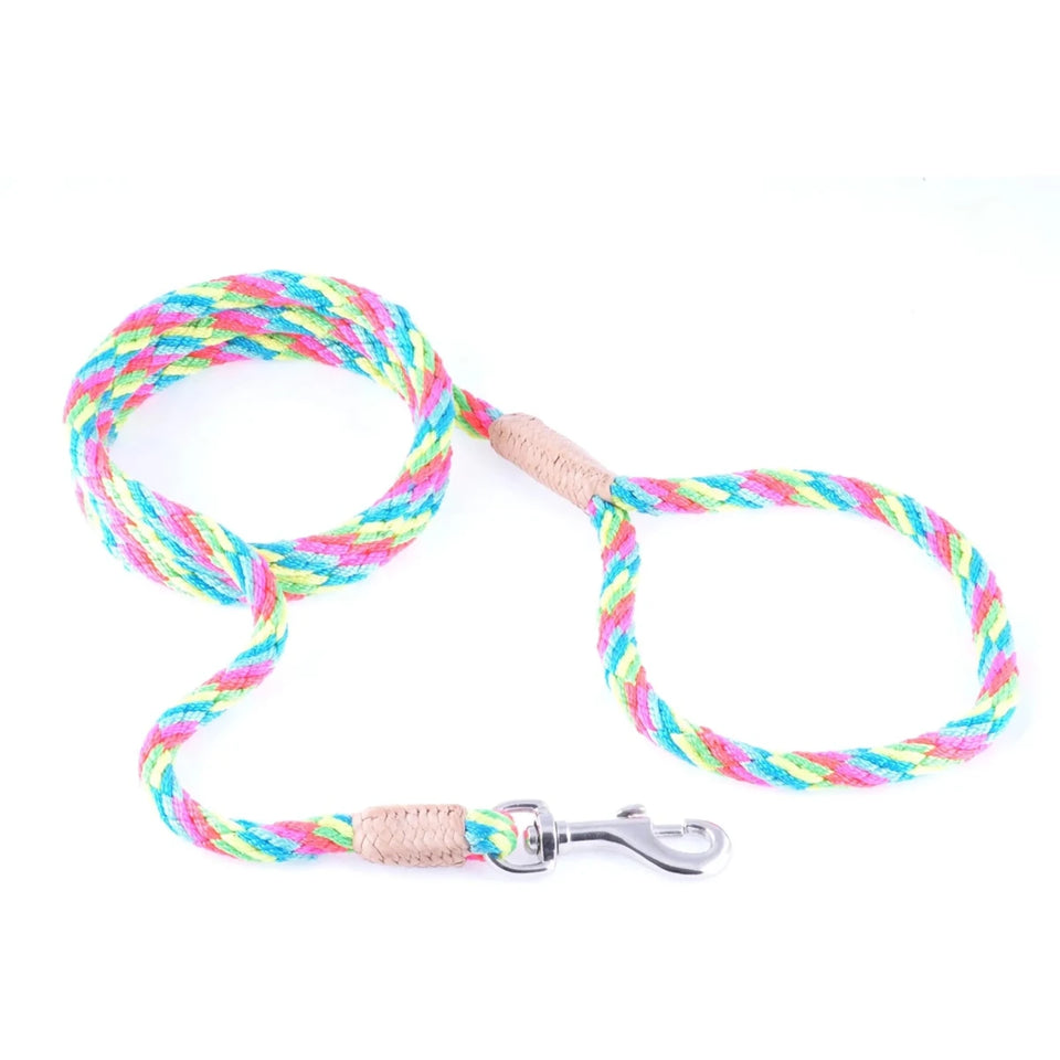 Nylon Snap Leads (4 ft x 1/8 in or 4 mm) - Pets Perfect