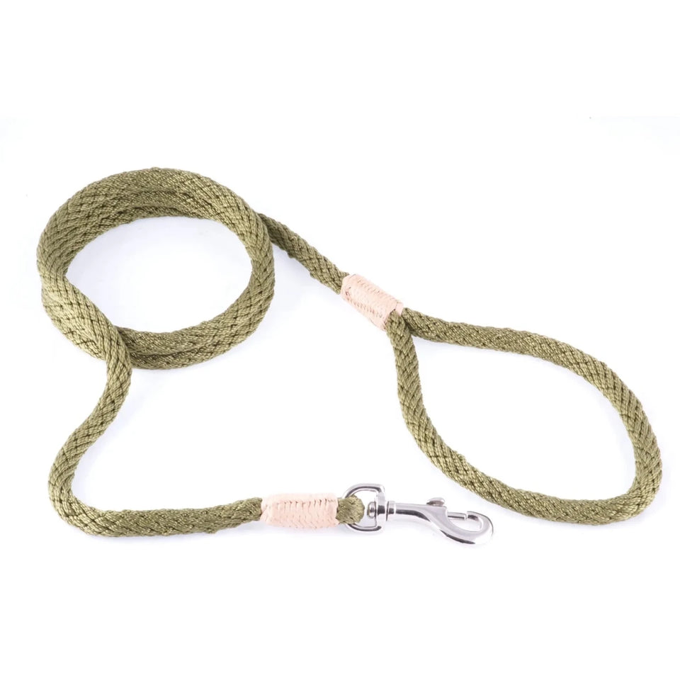 Nylon Snap Leads (4 ft x 1/8 in or 4 mm) - Pets Perfect